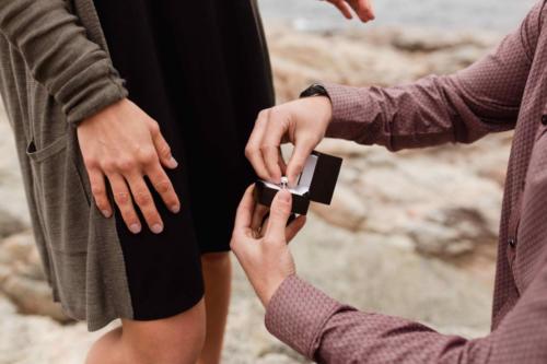 Surprise Proposal Big Sur