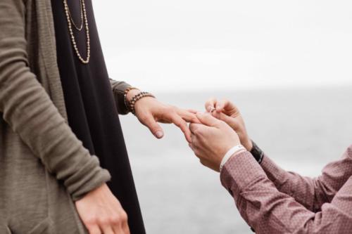 Big Sur Proposal